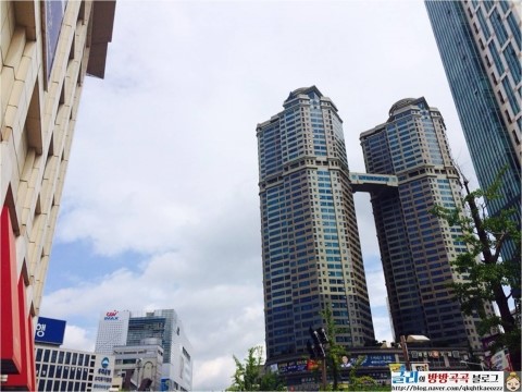동하몰 이미지