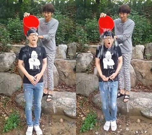 아이스+펫 이미지