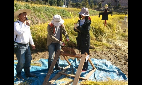 양지농원 이미지