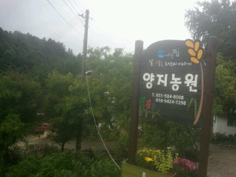 양지농원 이미지