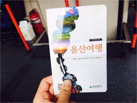 동하몰 이미지