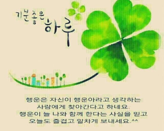 심는가발 이미지