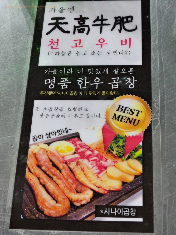 사나이창 이미지