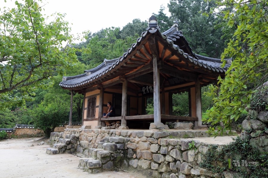 폴리팜 이미지
