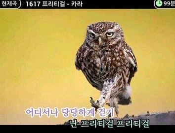 강남불고기 이미지