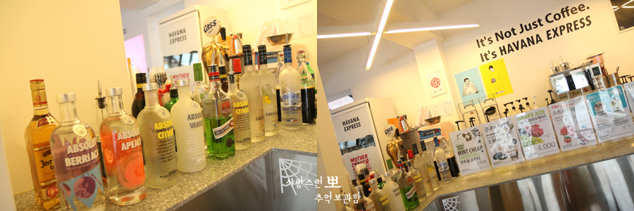 하바나커피숍 이미지