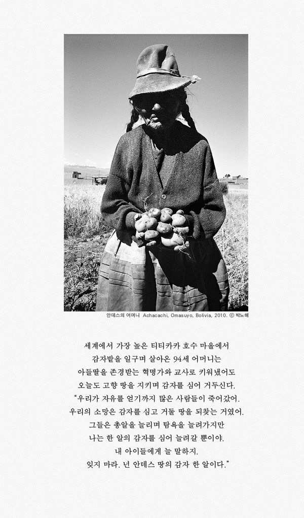 티티카카카페 이미지