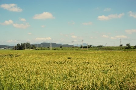 구름마을사람들영농조합법인 이미지