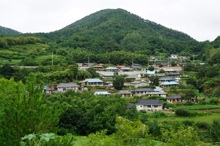 사랑해요영덕와송 이미지
