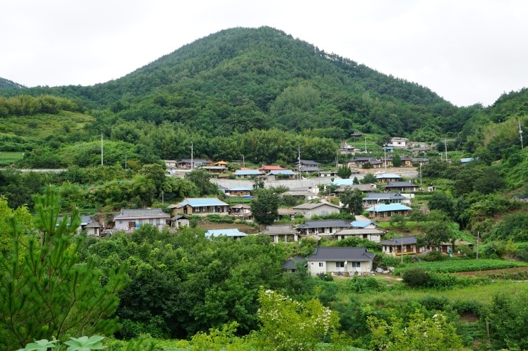 사랑해요영덕와송 이미지