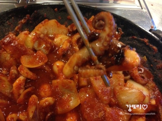 독도쭈꾸미 이미지