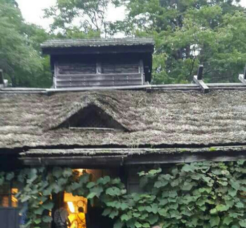 동조상사 이미지