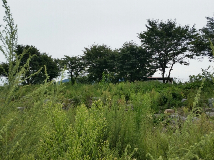 오광정육 이미지