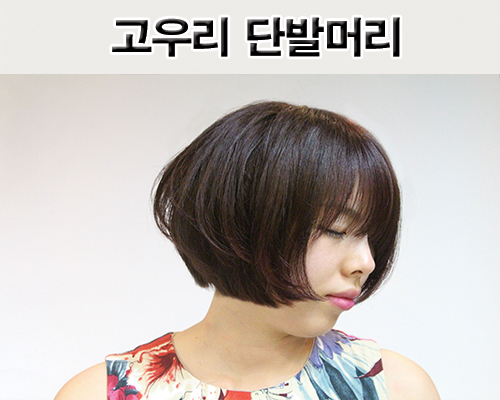 고우리미용실 이미지