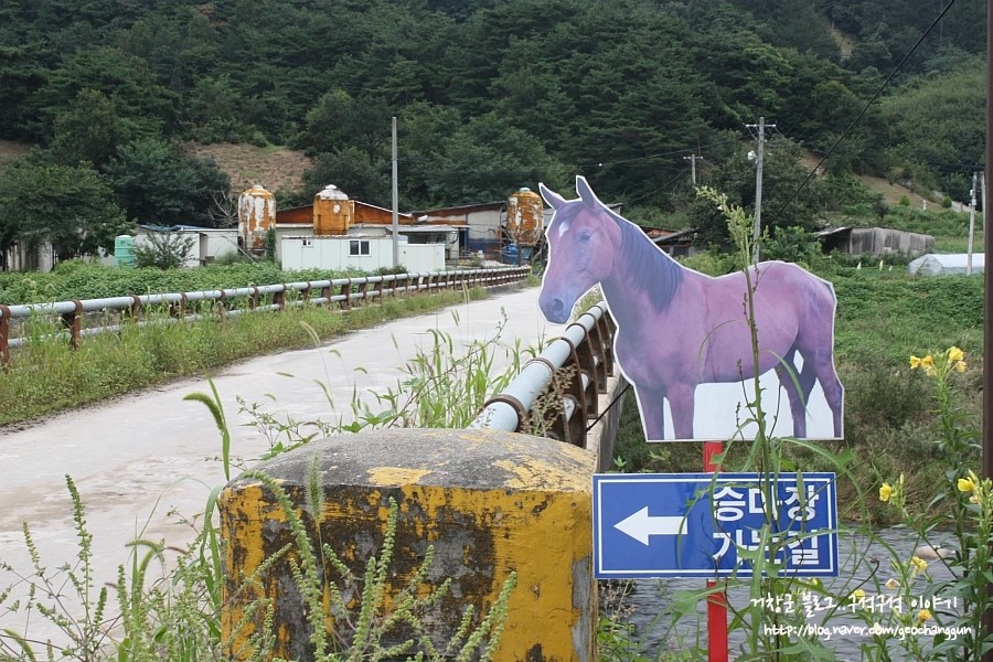오로라승마장 이미지