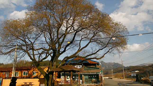 삼국유사화본마을 이미지
