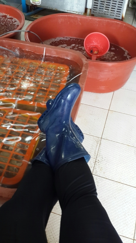 동아호 이미지