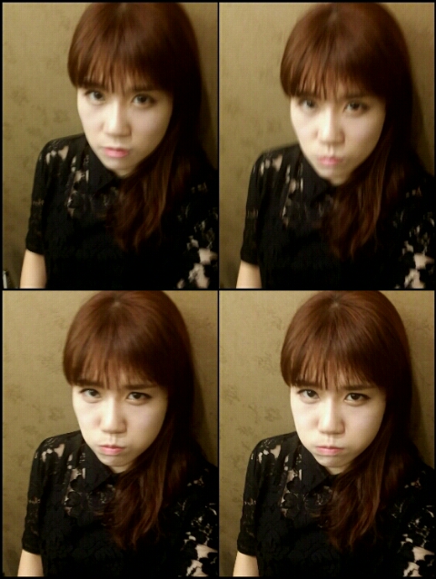 오색비단 이미지