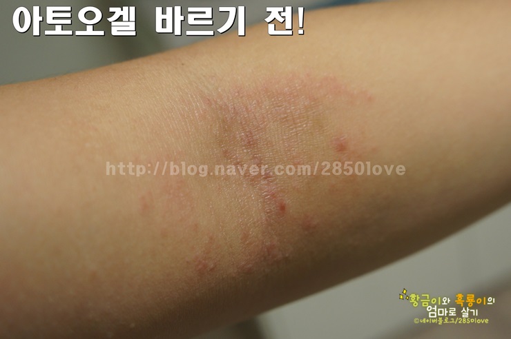 지케이유통 이미지