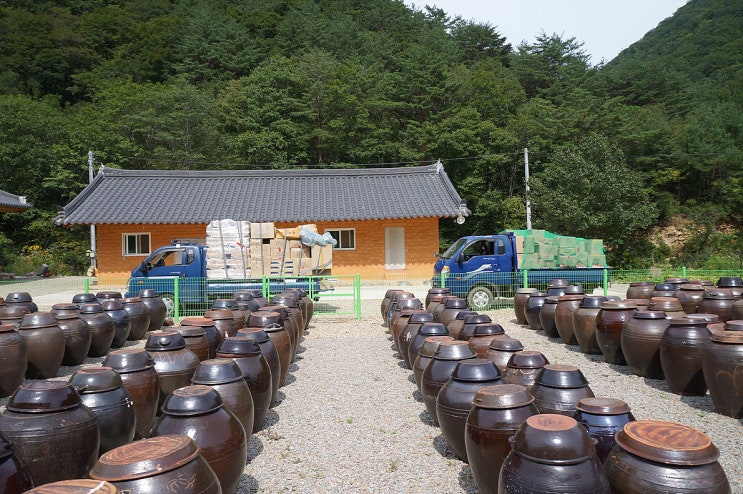 법인깊은산골 이미지