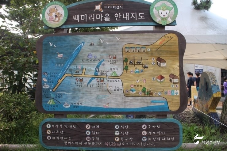 고동마을칼국수 이미지