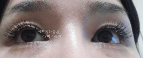 미녀공장 이미지