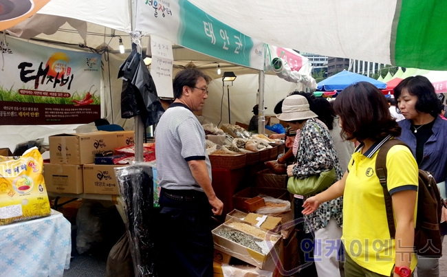 반도장터 이미지