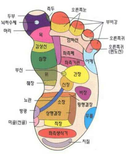 건강지도 이미지