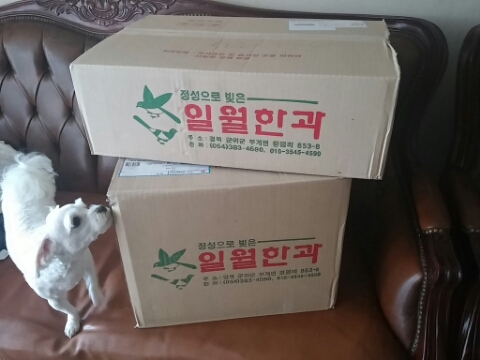 일월한과 이미지