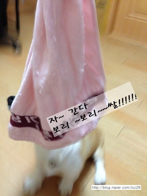 수건쟁이 이미지
