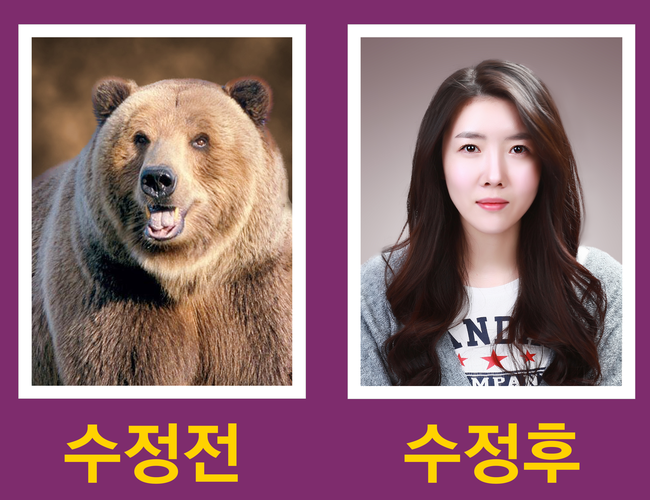 보소사진관 이미지
