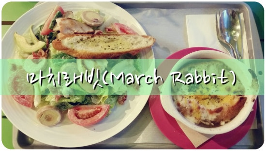 March rabbit(마치 래빗) 이미지