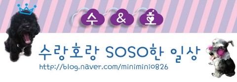 코즈모COSMO 이미지