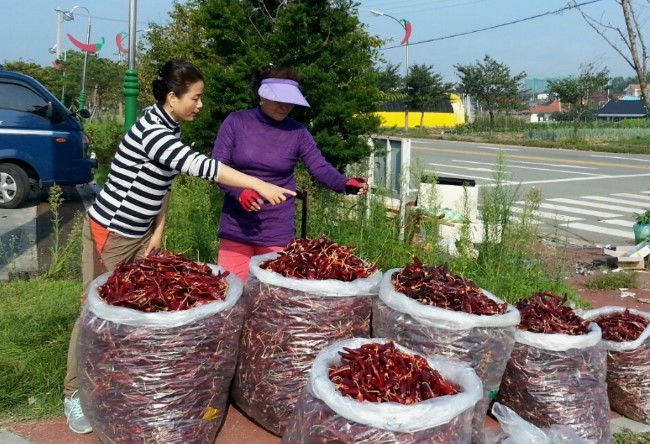 (주)고추나라 이미지