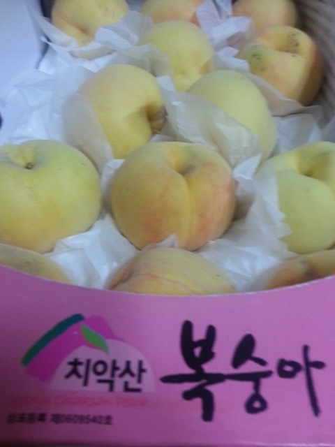 추릅추릅 이미지