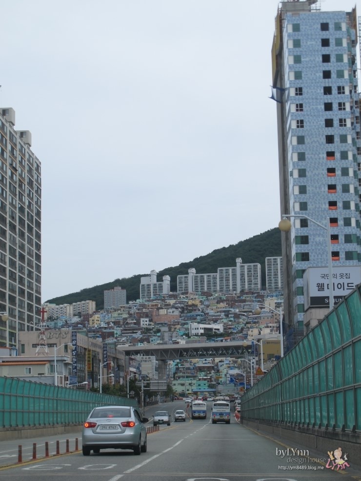 대교건어물 이미지