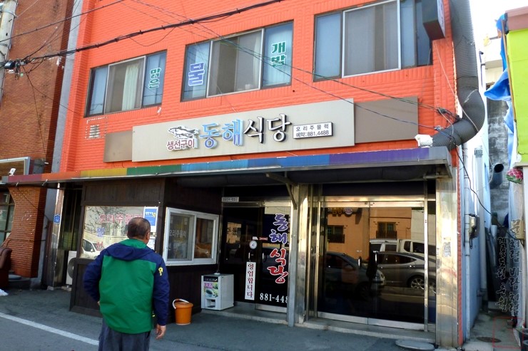 생선의민족 이미지