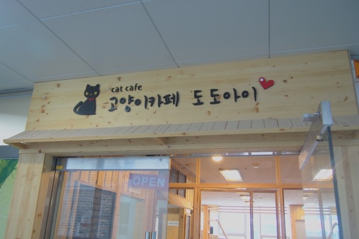 카페도도 이미지