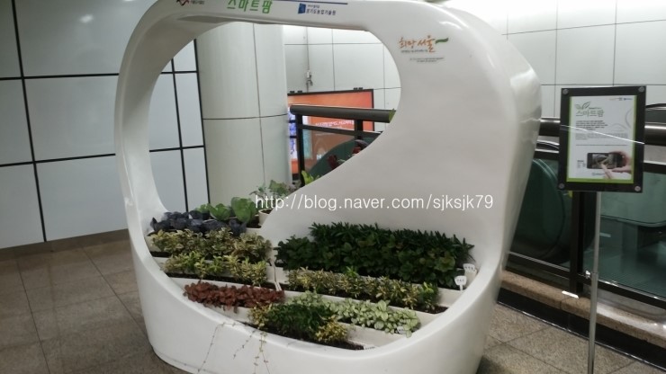 브레덴코세종 이미지