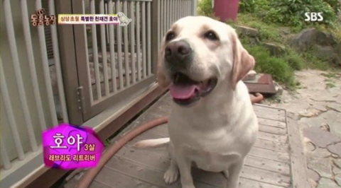 호야농장 이미지