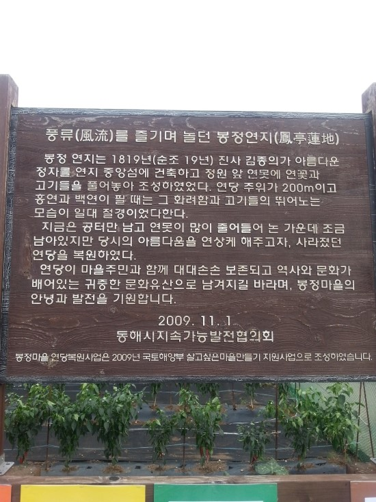 연꽃국수 이미지