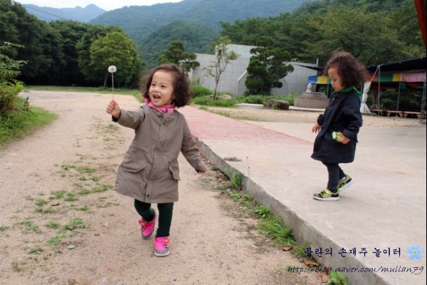 도도래빗 이미지