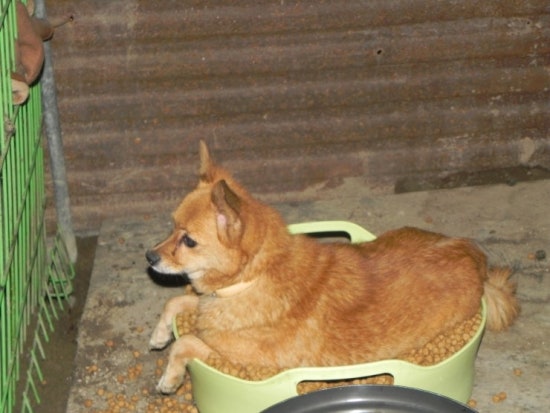 카페보소 이미지