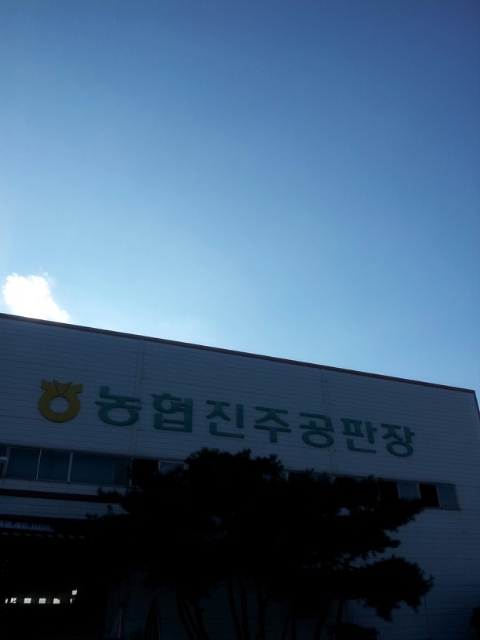 촌국수 이미지
