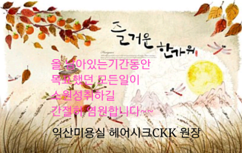 한가위헤어 이미지