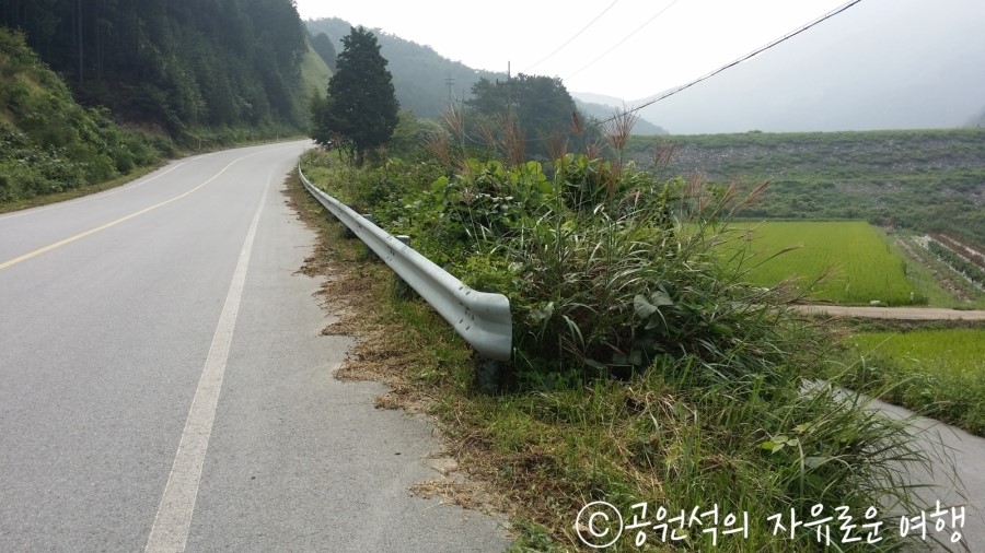 장성슈퍼 이미지