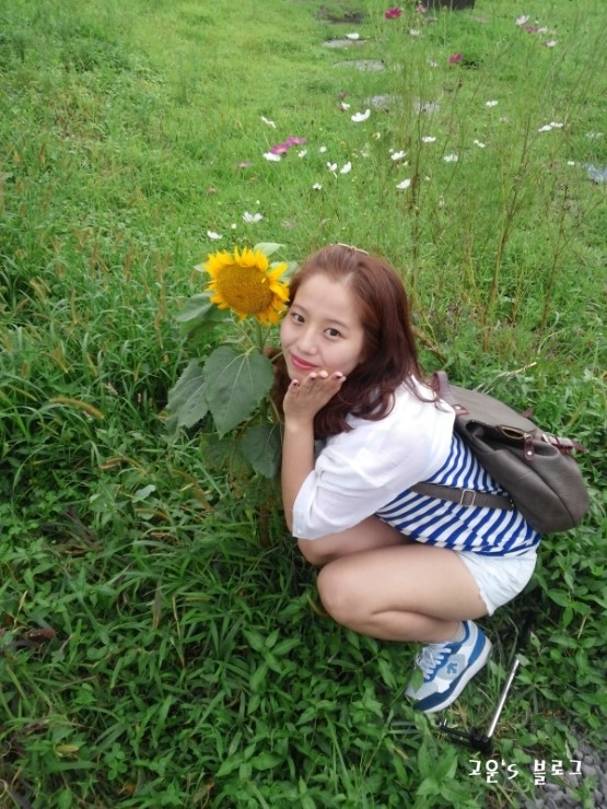 둥지바이크 이미지