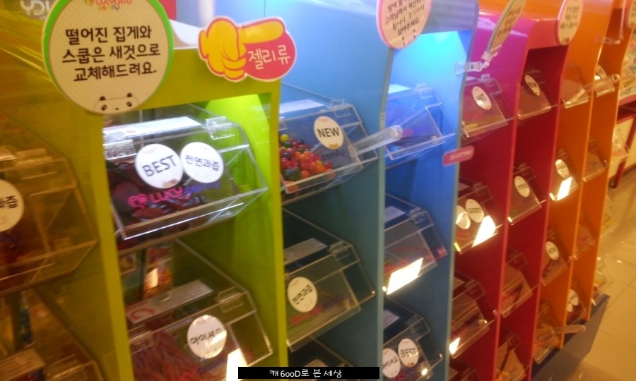 루시캔디 이미지