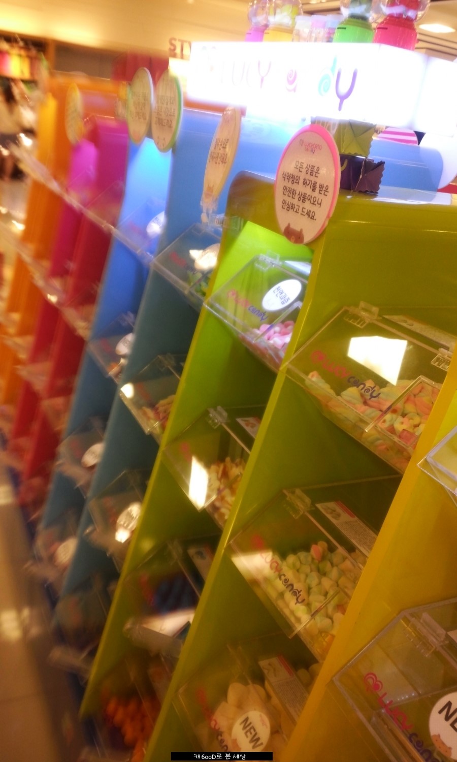 루시캔디 이미지