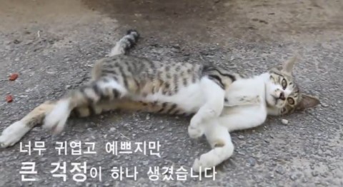 세기건설중기 이미지